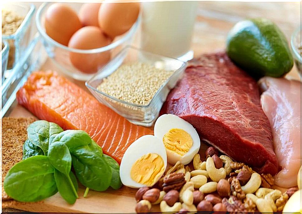 3 essential macronutrients to improve performance