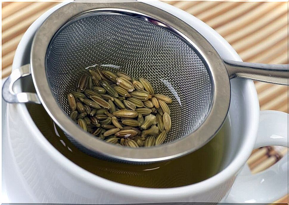 fennel seeds