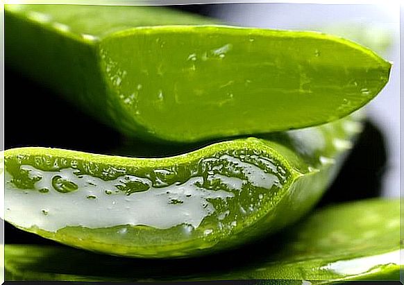 Aloe vera for itchy ears