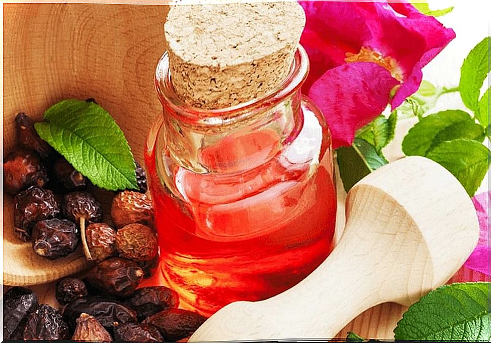 rose hip oil