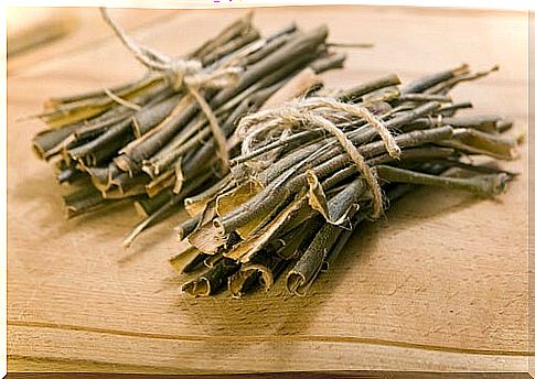 Willow bark infusion