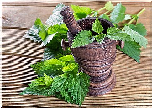 Nettle benefits