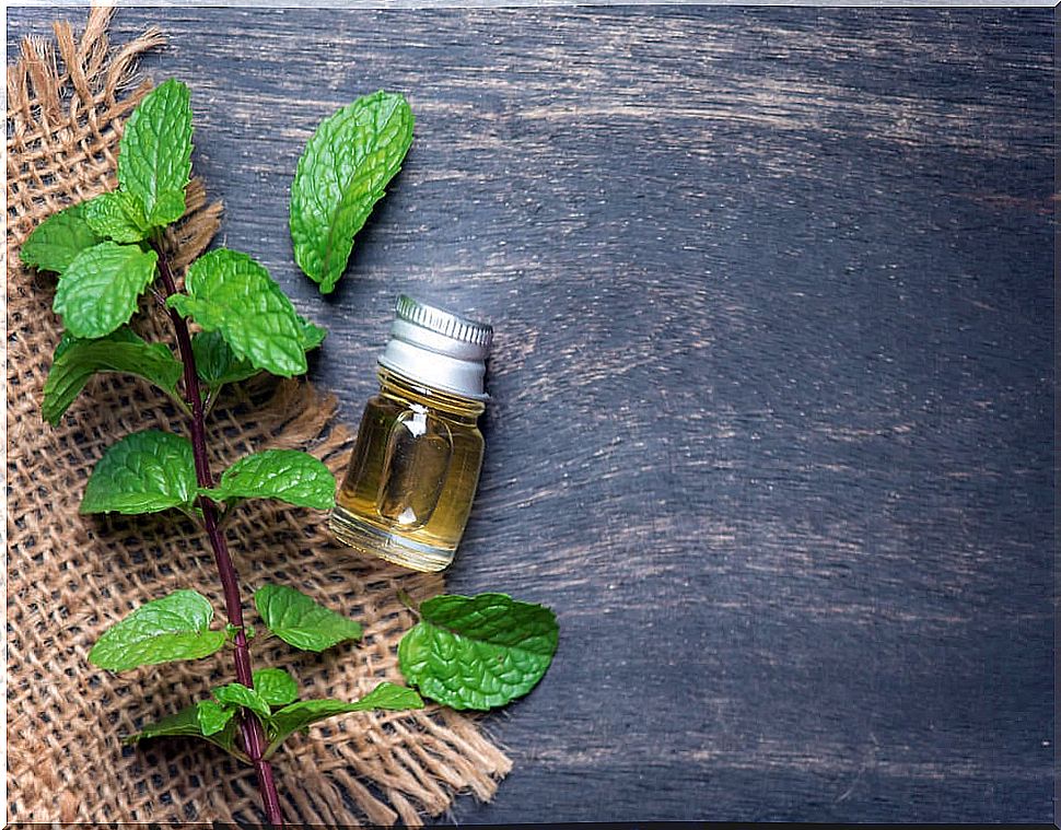 Peppermint oil