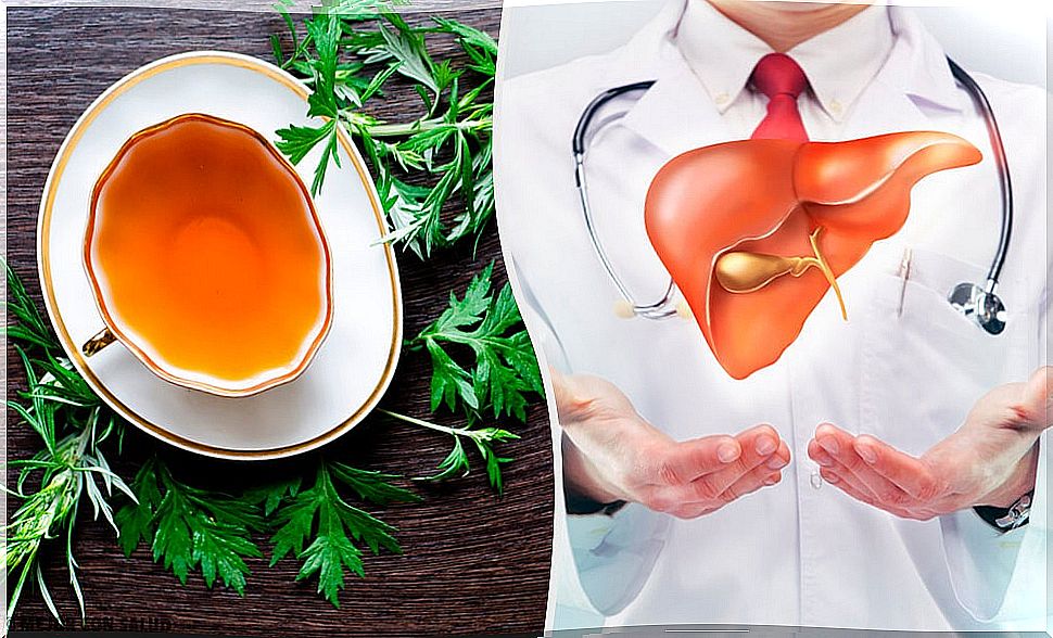 9 properties of wormwood for the health of our liver