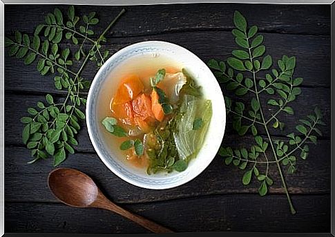 Vegetable soup