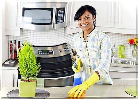 Woman cleaning the kitchen