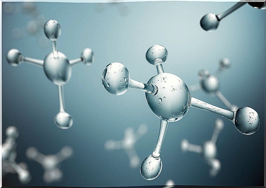 Collagen molecules.