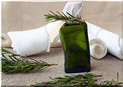 Rosemary for natural dyes