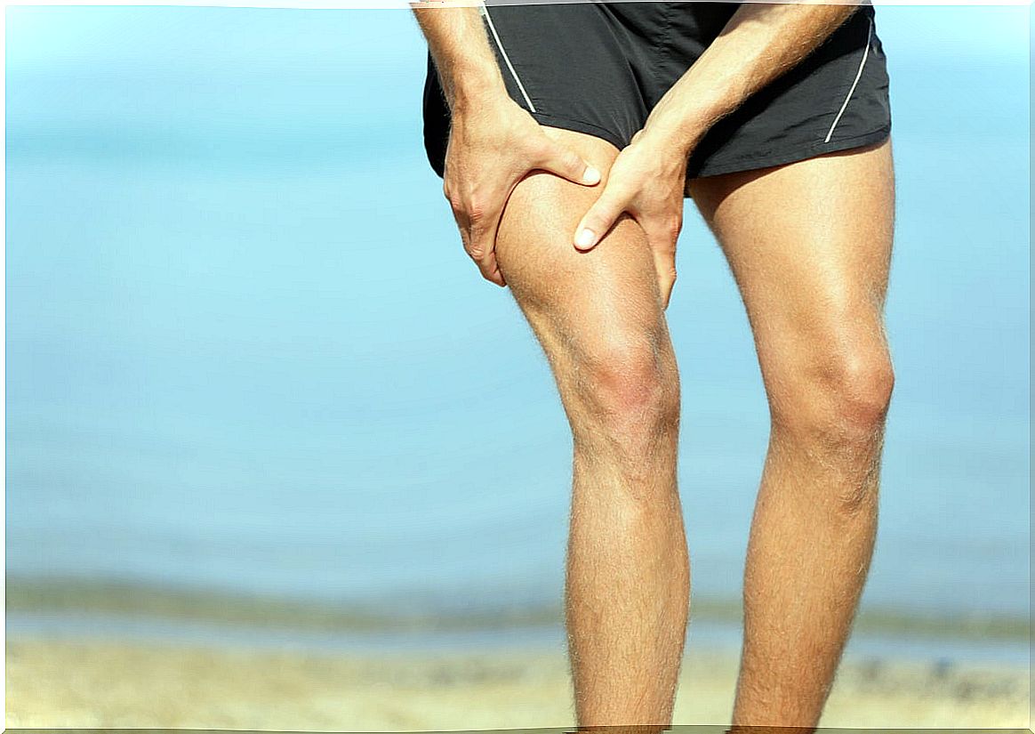 Tear pain in the thigh.