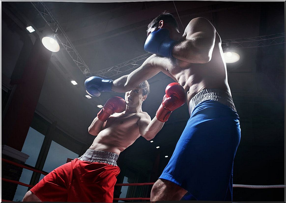 Professional boxers in the ring.