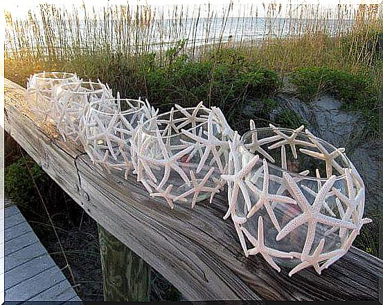 Lanterns with fish tanks and starfish