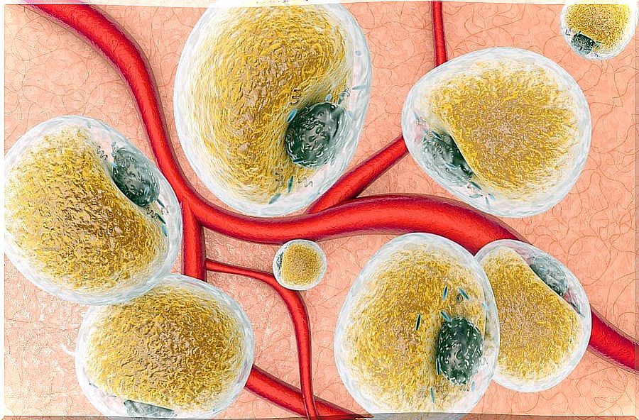 What is leptin