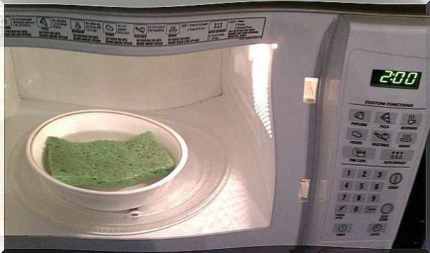 sponge in the microwave