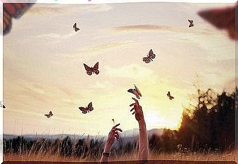 Hands reaching for butterflies