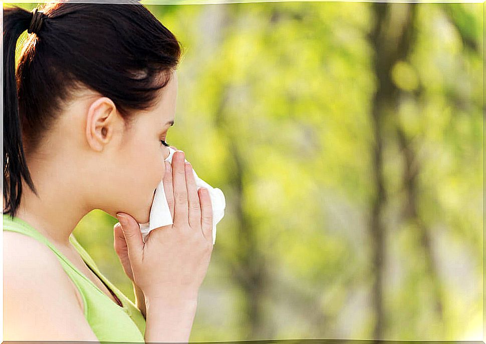 Top 5 Remedies for Pollen Allergy